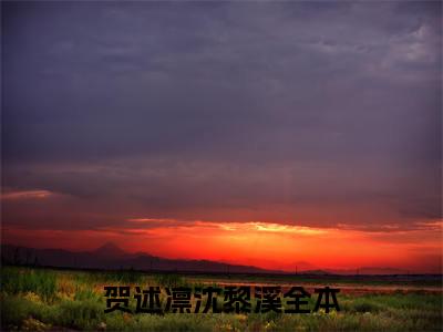 贺述凛沈黎溪小说免费阅读-（贺述凛沈黎溪）言情小说贺述凛沈黎溪讲的是什么