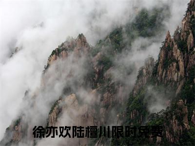 徐亦欢陆檀川（徐亦欢陆檀川）精选小说大结局阅读-抖音新书热荐徐亦欢陆檀川