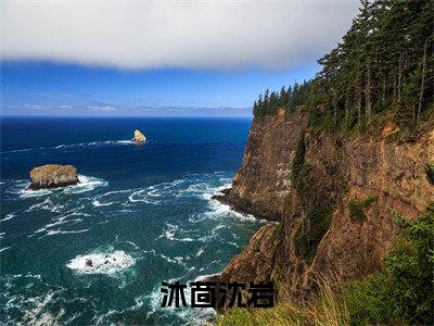 沐茴沈岩小说（沐茴沈岩）全文免费阅读无弹窗大结局_沐茴沈岩小说最新章节列表