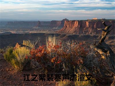 江之絮裴寒声全网首发最新小说主角江之絮裴寒声全文在线免费阅读