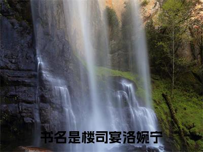 楼司宴洛婉宁小说最后结局(楼司宴洛婉宁)完结版免费阅读