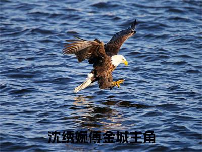 沈绣婉傅金城（沈绣婉傅金城）全文免费阅读无弹窗大结局_沈绣婉傅金城最新章节列表_笔趣阁