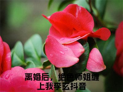 离婚后，绝色师姐缠上我李玄新上热文小说（离婚后，绝色师姐缠上我李玄）讲的是什么-离婚后，绝色师姐缠上我李玄全文完整版免费阅读