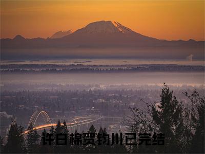 许白棉贺钧川小说在哪里可以看 许白棉贺钧川免费在线阅读