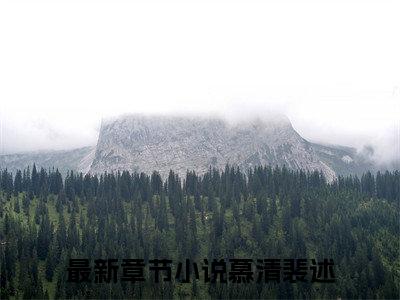 慕清裴述全文小说全章节阅读