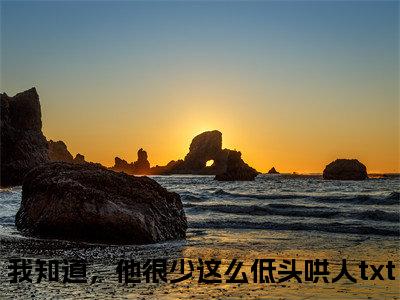 我知道，他很少这么低头哄人（阮南梨盛京燃）全文免费阅读_阮南梨盛京燃全文阅读_笔趣阁