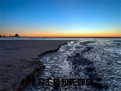 叶瓷沈君默（情深不自知小说）全文免费阅读无弹窗大结局_（情深不自知）小说最新章节列表