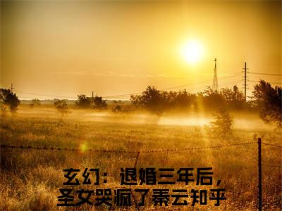 玄幻：退婚三年后，圣女哭疯了秦云（玄幻：退婚三年后，圣女哭疯了秦云）小说全文免费阅读无弹窗大结局_玄幻：退婚三年后，圣女哭疯了秦云全文在线阅读无弹窗（玄幻：退婚三年后，圣女哭疯了秦云）