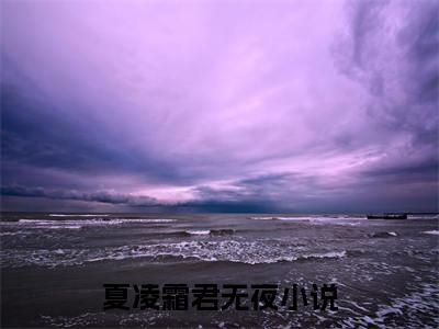 夏凌霜君无夜小说全文（夏凌霜君无夜）全文免费阅读无弹窗大结局_夏凌霜君无夜全文免费阅读无弹窗最新章节列表_笔趣阁