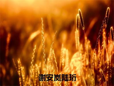 全网热搜（谢安岚陆珩）是什么小说,谢安岚陆珩免费阅读无弹窗
