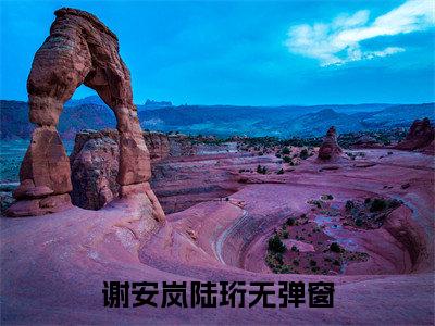 谢安岚陆珩阅读无弹窗大结局_（谢安岚陆珩阅读无弹窗）最新章节列表_笔趣阁（谢安岚陆珩）