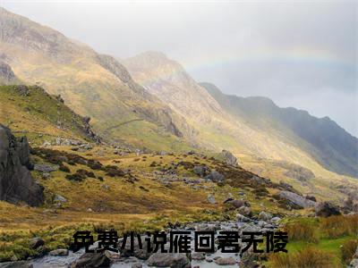 雁回君无陵全文阅读 雁回君无陵小说最新章节