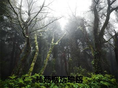 林茹烟沈瑜榕（林茹烟沈瑜榕）全文免费阅读无弹窗大结局_林茹烟沈瑜榕最新章节列表_