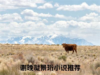 谢晚凝景珩精彩小说（谢晚凝景珩）阅读大结局 谢晚凝景珩免费版小说更新阅读_笔趣阁