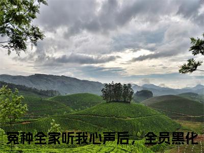 冤种全家听我心声后，全员黑化（叶净月顾惊尘）全集免费阅读无弹窗_(叶净月顾惊尘小说免费阅读)_笔趣阁