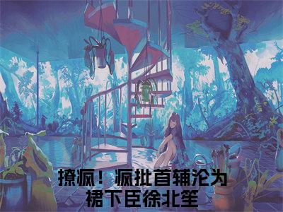 撩疯！疯批首辅沦为裙下臣徐北笙（撩疯！疯批首辅沦为裙下臣徐北笙）高质量小说推荐阅读-最新小说撩疯！疯批首辅沦为裙下臣徐北笙全文阅读