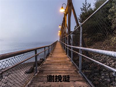 谢挽凝全文免费完整版-小说谢挽凝（守寡后，我好孕连连连）已完结全集大结局