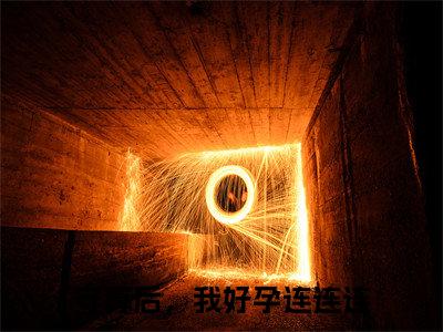 谢挽凝在线阅读（守寡后，我好孕连连连）全文免费阅读大结局_谢挽凝免费最新章节列表_笔趣阁