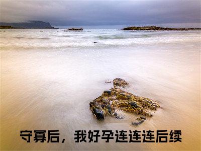 谢挽凝小说免费阅读无弹窗《守寡后，我好孕连连连》_守寡后，我好孕连连连全文阅读谢挽凝