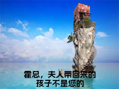 庄嘉宁霍一珩（霍总，夫人带回来的孩子不是您的）全文免费读无弹窗大结局_霍总，夫人带回来的孩子不是您的免费小说庄嘉宁霍一珩读无弹窗最新章节列表