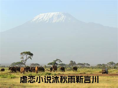 沐秋雨靳言川阅读无弹窗大结局_沐秋雨靳言川最新章节列表_笔趣阁