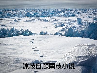 沐枝白顾南枝小说大结局全文免费阅读-小说排行榜top1小说全文阅读