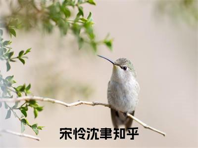 宋怜沈聿（虐完夫人后王爷他疯了）免费全文阅读小说_（宋怜沈聿）虐完夫人后王爷他疯了最新章节列表-笔趣阁