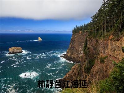 林静茵江海延（林静茵江海延）最新完结免费阅读-（林静茵江海延）悬疑小说在线阅读