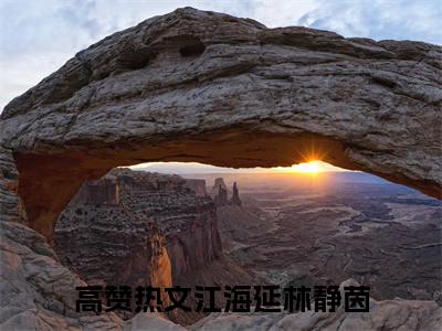 江海延林静茵（江海延林静茵）小说全文免费阅读正版无弹窗_江海延林静茵完结免费阅读无弹窗_笔趣阁