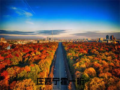 （霍总，夫人带回来的孩子不是您的）庄嘉宁霍一珩全文免费阅读无弹窗_（庄嘉宁霍一珩小说免费阅读）最新章节列表笔趣阁