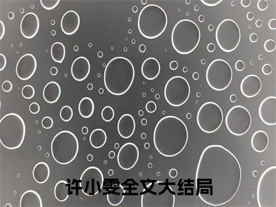 许小雯小说全文免费阅读无弹窗大结局_（许小雯全文免费阅读）女编剧最新章节列表笔趣阁