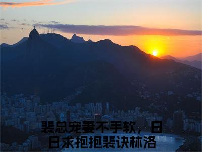 裴总宠妻不手软，日日求抱抱全文（裴诀林洛免费小说-完整版-裴总宠妻不手软，日日求抱抱在线赏析）最新章节已更新版