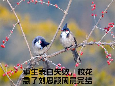 重生表白失败，校花急了（刘思颖周晨）全文免费阅读无弹窗大结局_重生表白失败，校花急了（刘思颖周晨）小说全文免费阅读最新章节列表