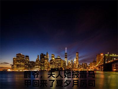 【新书】《爵爷，夫人她披着马甲回来了》全文免费阅读无弹窗大结局-夏夕月厉司爵全文全章节免费阅读