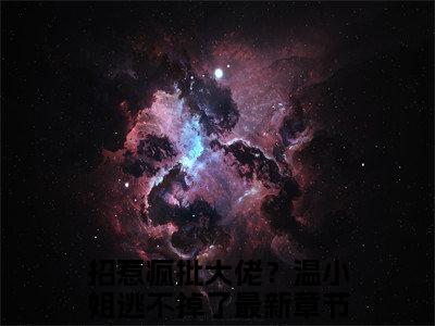温时悦陆燃（招惹疯批大佬？温小姐逃不掉了小说）全文免费阅读无弹窗大结局_温时悦陆燃全文免费阅读_笔趣阁（招惹疯批大佬？温小姐逃不掉了）