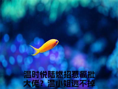 招惹疯批大佬？温小姐逃不掉了（温时悦陆燃）全文免费阅读无弹窗大结局_（招惹疯批大佬？温小姐逃不掉了无弹窗）温时悦陆燃最新章节列表阅读_笔趣阁