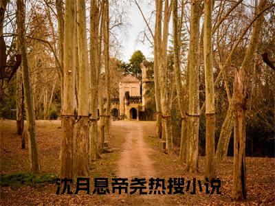 沈月息帝尧全文免费阅读无弹窗大结局_沈月息帝尧（全宗门摆烂，小师妹卷疯了）最新章节列表_笔趣阁
