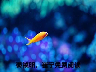 《秦祯明，崔宁》最新章节免费阅读-秦祯明，崔宁无广告小说精彩阅读