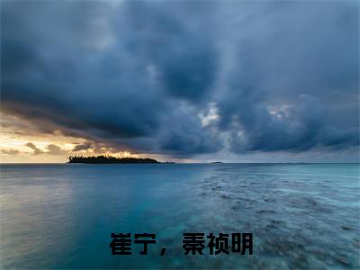 崔宁，秦祯明精彩章节免费阅读-崔宁，秦祯明小说完整版