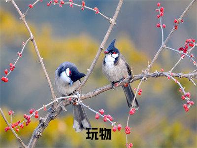 程暖贺丞玩物小说-程暖贺丞小说免费阅读