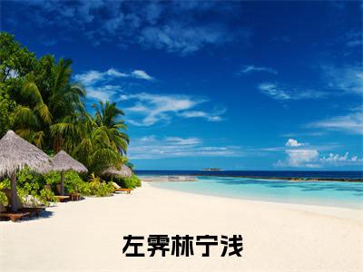 左霁林宁浅小说全文免费阅读最新章节_左霁林宁浅（左霁林宁浅）免费观看完结版_笔趣阁