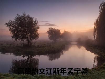 近期热门小说（江斯年孟宁希）在线阅读-江斯年孟宁希精彩小说全文赏析