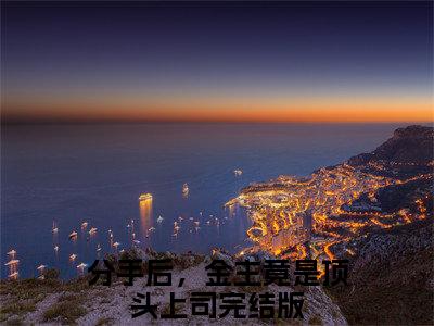 安星辰陆晏舟全文免费在线阅读_（安星辰陆晏舟免费阅读无弹窗）分手后，金主竟是顶头上司全文免费完结版阅读
