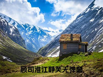 顾司淮江静芙（顾司淮江静芙）多人推荐-好看的小说（顾司淮江静芙）完整版免费阅读
