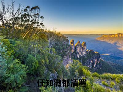 若有来世，望你我永不相识免费小说-（若有来世，望你我永不相识）任知微郁清寒完结版在线阅读