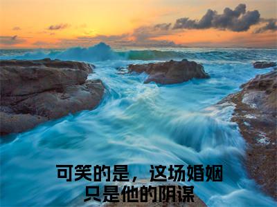 可笑的是，这场婚姻只是他的阴谋（傅铂瑾沈夏月）全文免费阅读无弹窗大结局傅铂瑾沈夏月（可笑的是，这场婚姻只是他的阴谋）