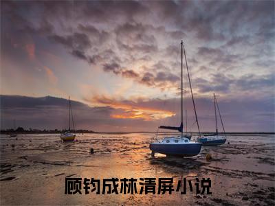 顾钧成林清屏免费阅读最新章节列表_笔趣阁
