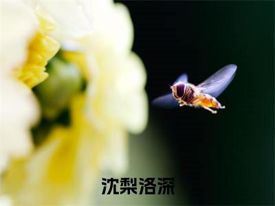 沈梨洛深小说小说全集免费阅读 沈梨洛深章节目录