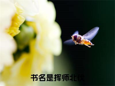 陈川全文免费阅读无弹窗,挥师北伐小说最新章节列表无删减_笔趣阁