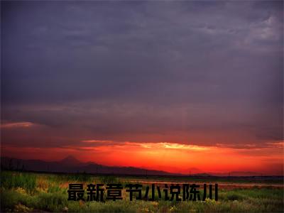 小说《陈川》全文免费阅读无弹窗-挥师北伐小说全文在线赏析_笔趣阁